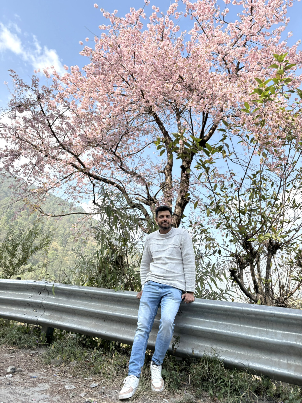 A smiling man in a white sweater and jeans leans on a metal guardrail beneath a vibrant pink cherry blossom tree on a sunny day with a view of a forested hill