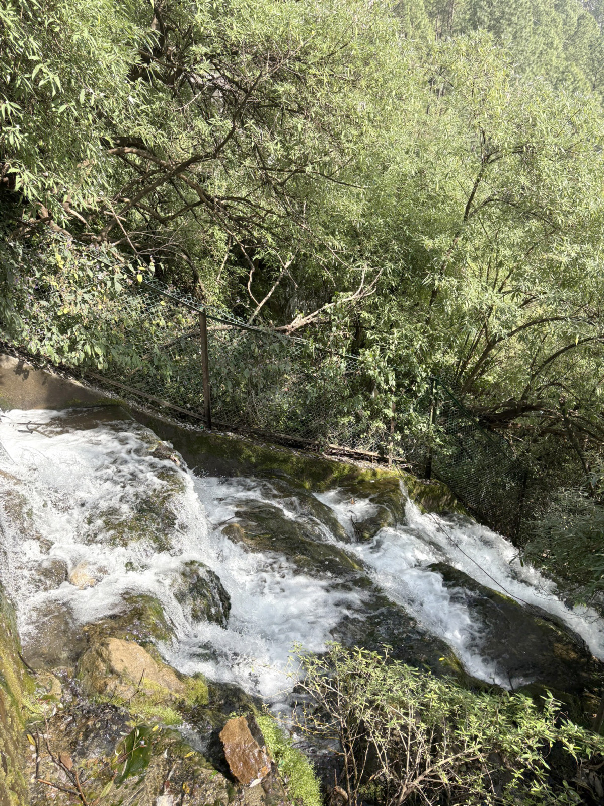 An overhead view of cascading water rapidly flowing over mossy, rocky terrain, surrounded by dense, lush green foliage and a protective chain-link fence