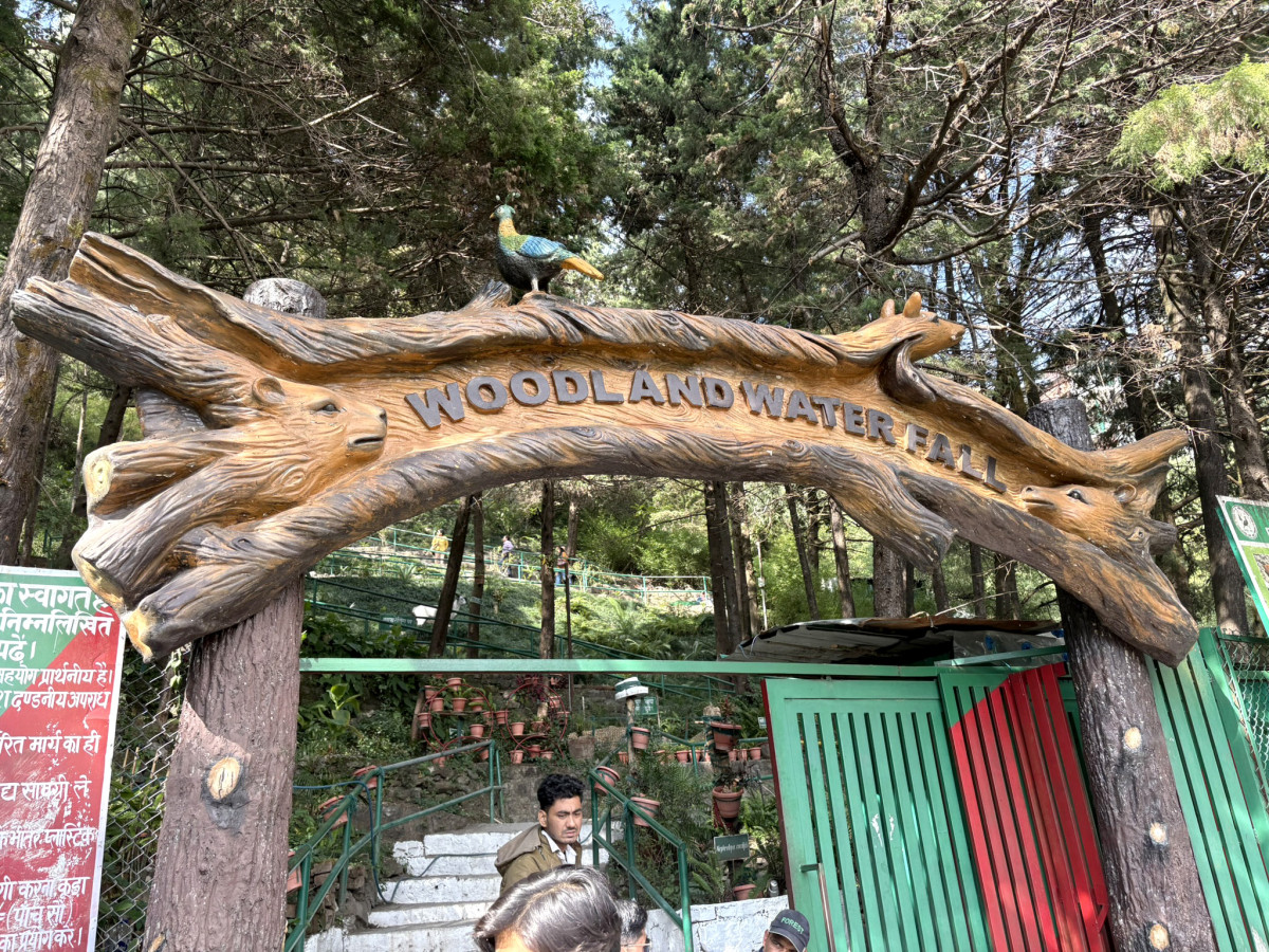 A carved wooden archway sign for the "Woodland Water Fall" entrance, set among a dense forest of tall trees with stone steps leading up to the attraction